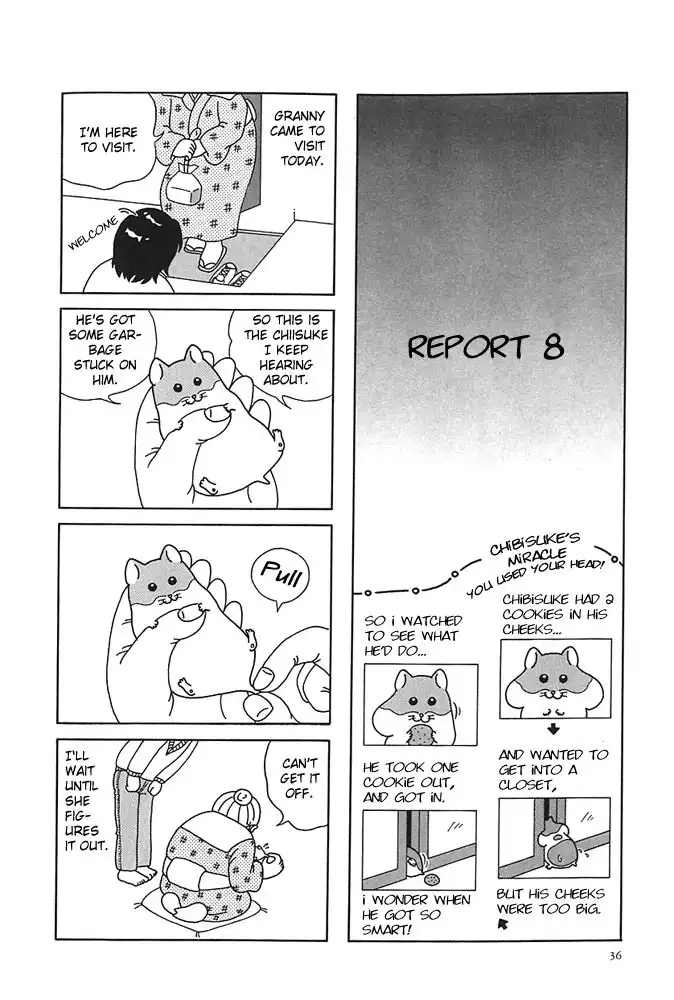 Hamster no Kenkyuu Report Chapter 4 5